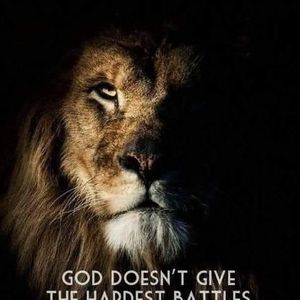 Meet your Posher, Ann marie